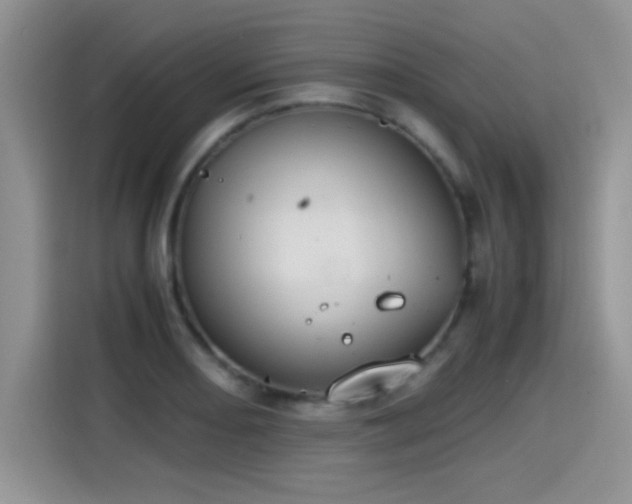 X0000115441082200911121118