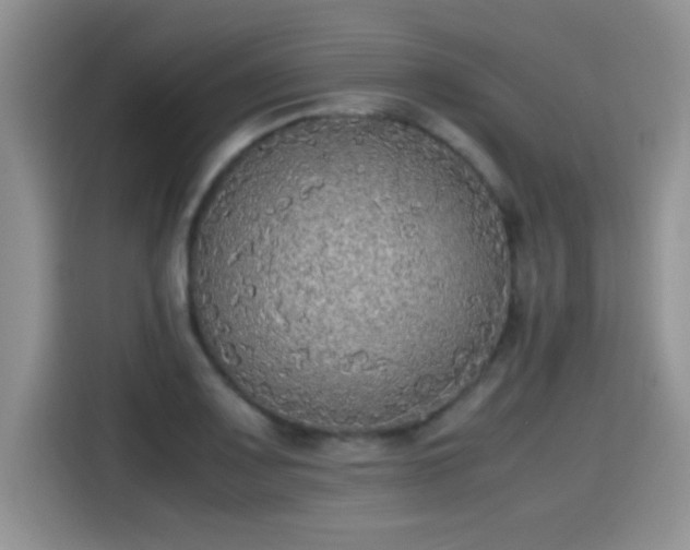 X0000115441083200911121118