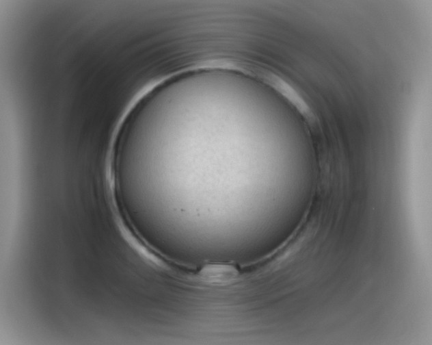 X0000115441084200911121118