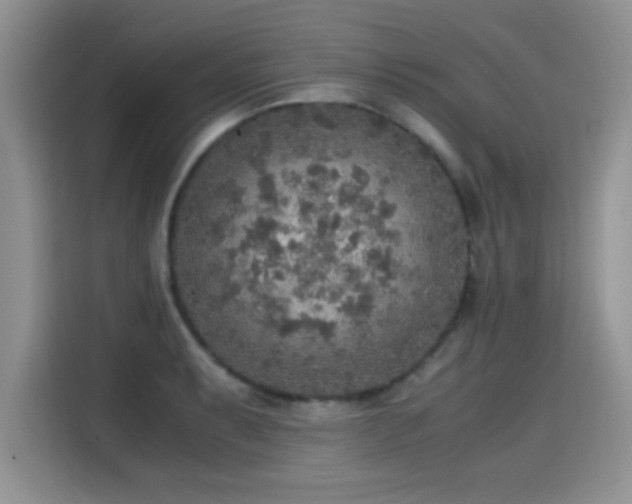 X0000115441087200911121118