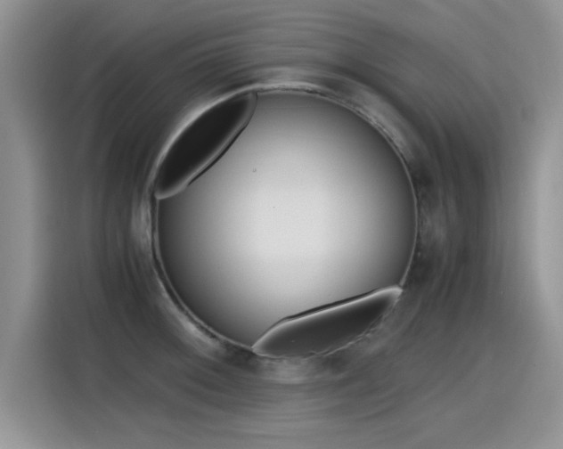 X0000115441092200911121118