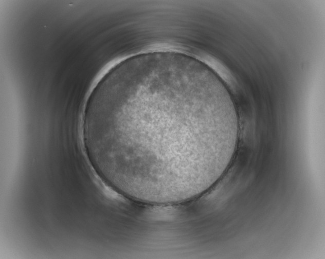 X0000115441094200911121118