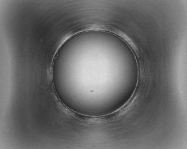 X0000115441097200911121118