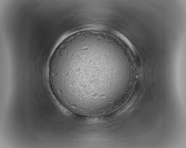 X0000115441099200911121118