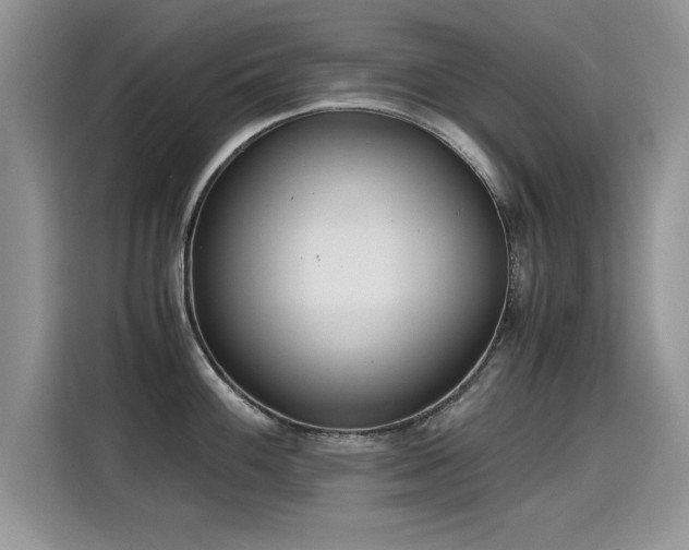 X0000115441100200911121118
