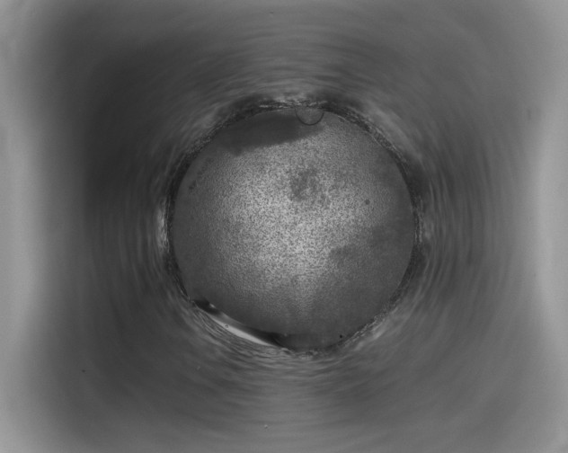 X0000115441106200911121117