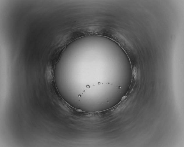 X0000115441107200911121117
