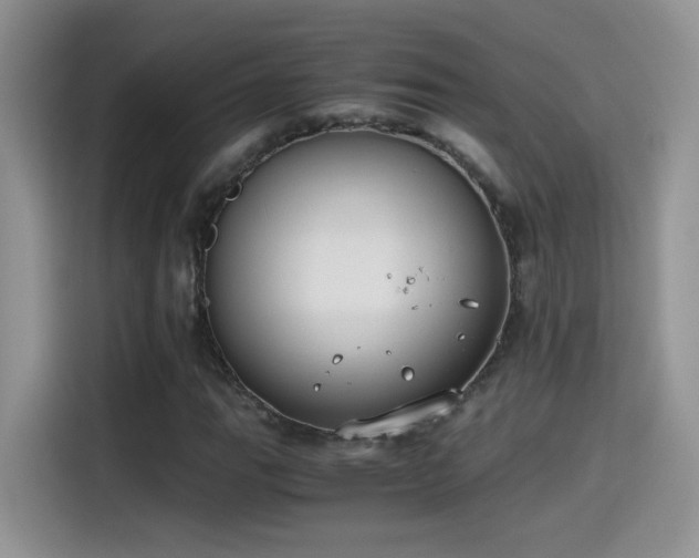 X0000115441111200911121117