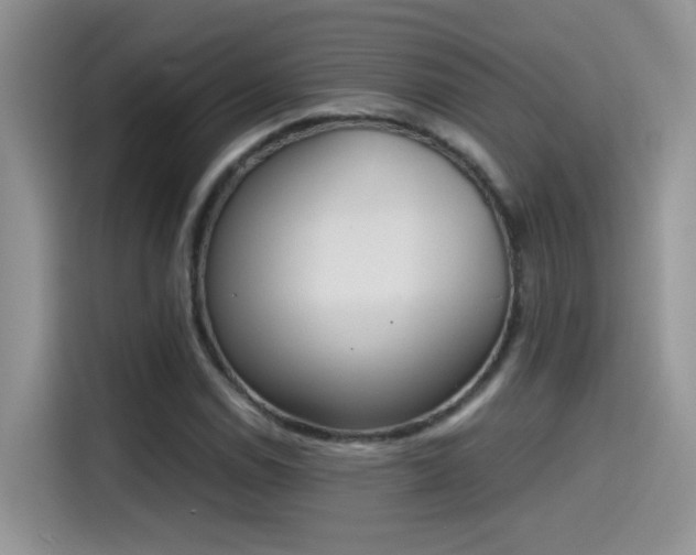 X0000115441114200911121118