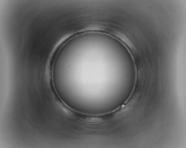 X0000115441119200911121118