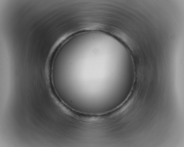 X0000115441122200911121118