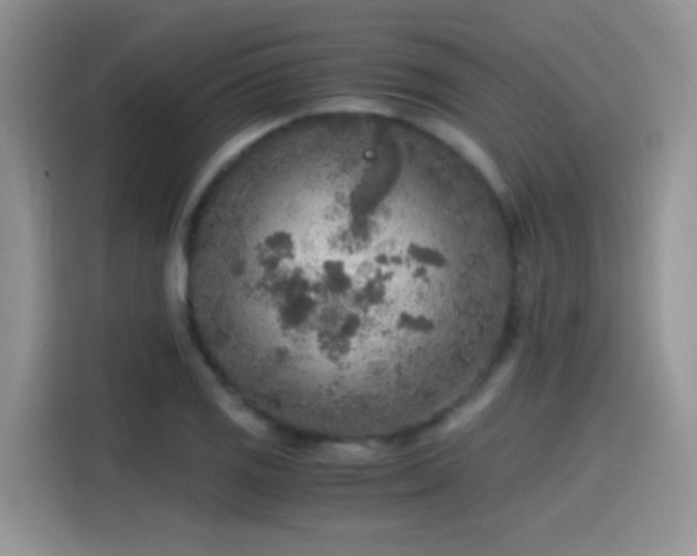 X0000115441125200911121118