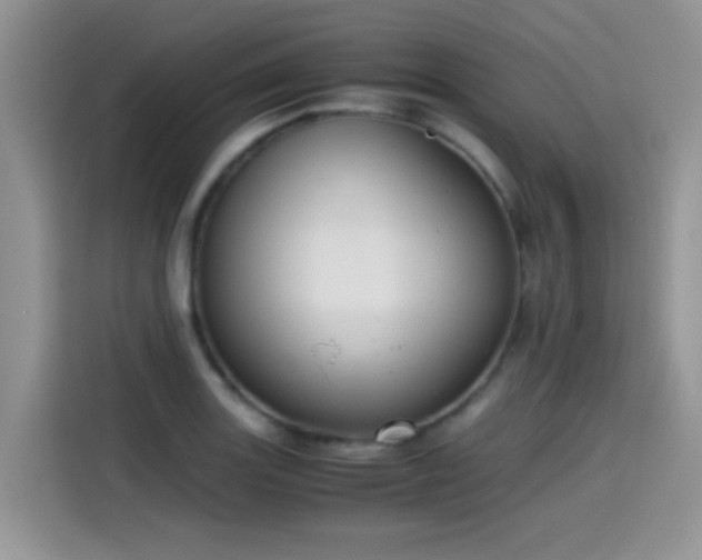 X0000115441131200911121118