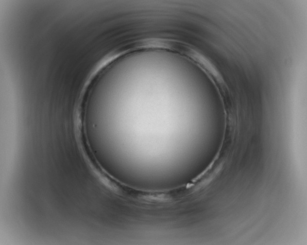 X0000115441133200911121118