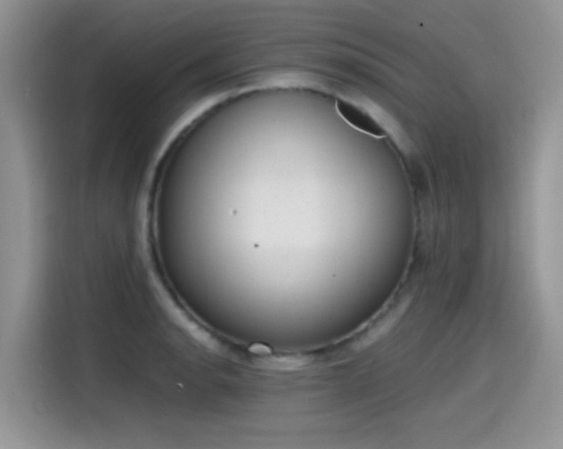 X0000115441134200911121118