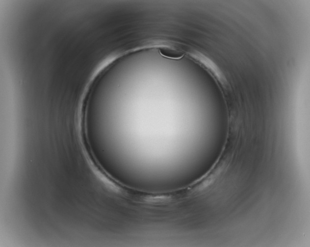 X0000115441135200911121118
