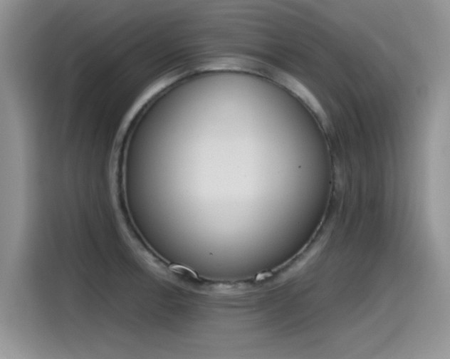 X0000115441138200911121118