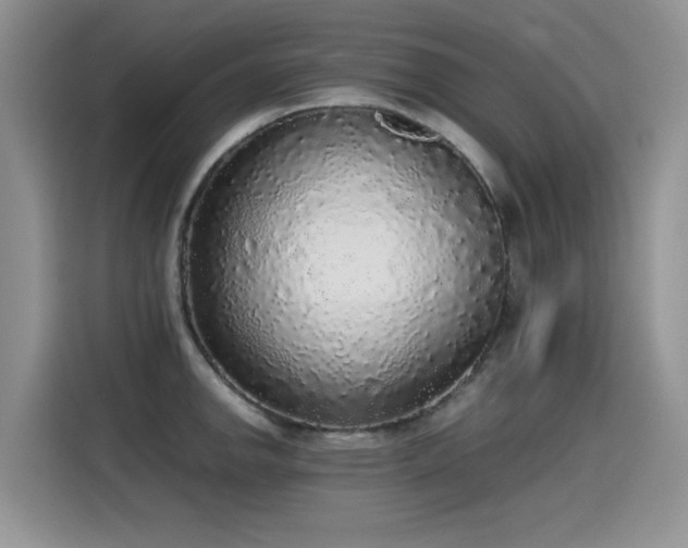 X0000115441142200911121118
