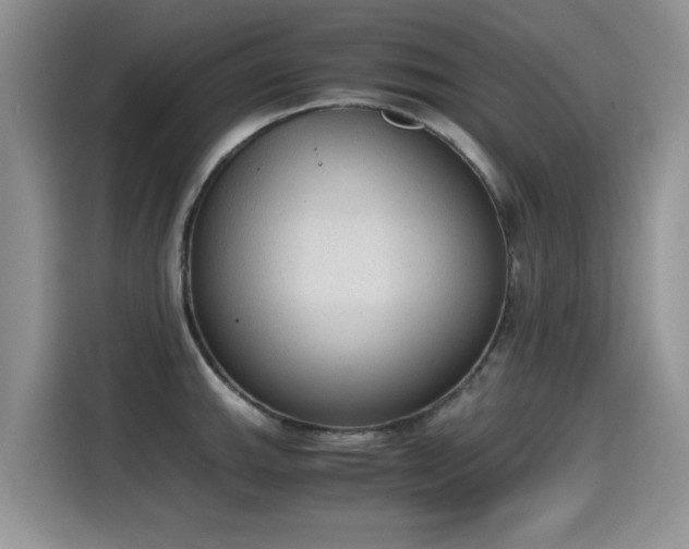 X0000115441143200911121118