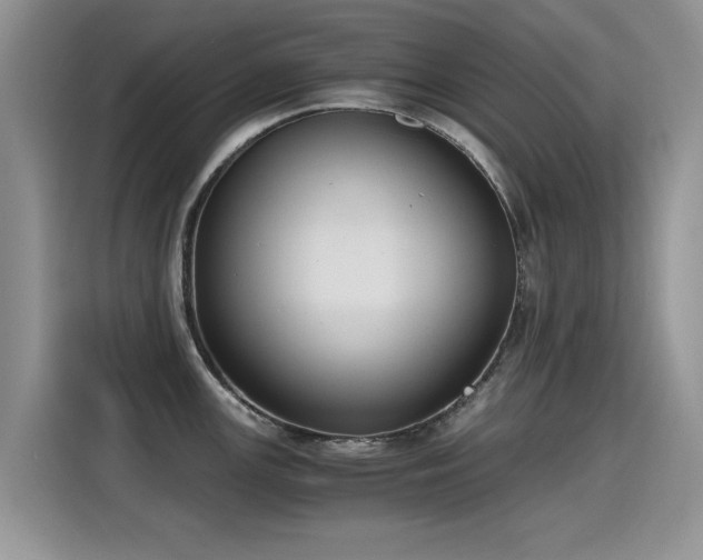 X0000115441147200911121118