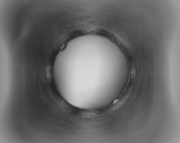 X0000115441156200911121117