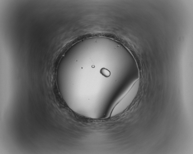 X0000115441157200911121117