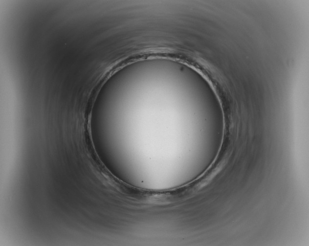 X0000115441161200911121117