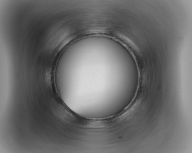 X0000115441162200911121117