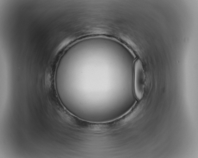 X0000115441163200911121117