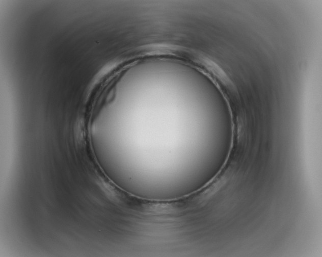 X0000115441164200911121117