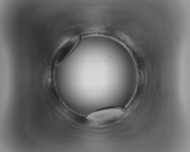 X0000115441165200911121117