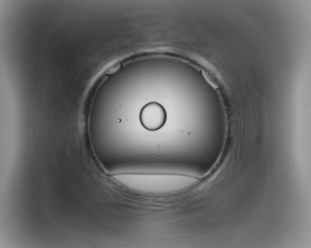 X0000115441167200911121117