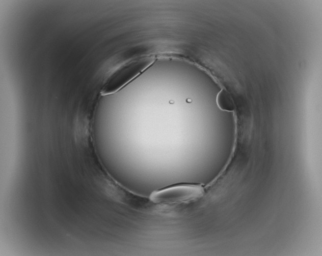 X0000115441169200911121117