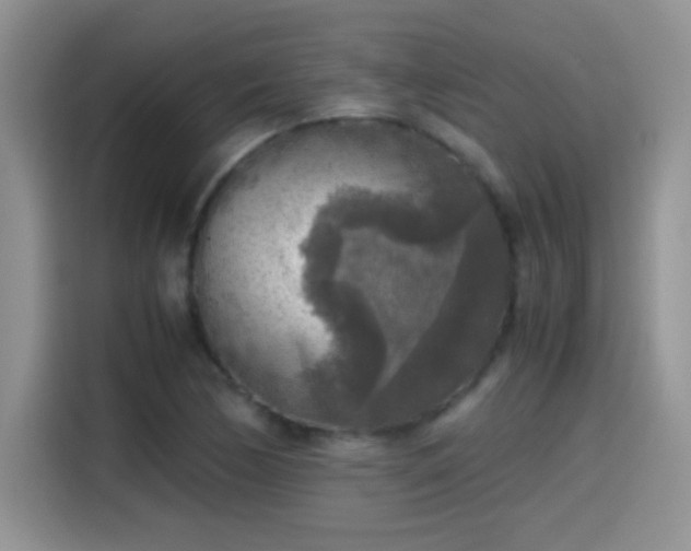 X0000115441170200911121117