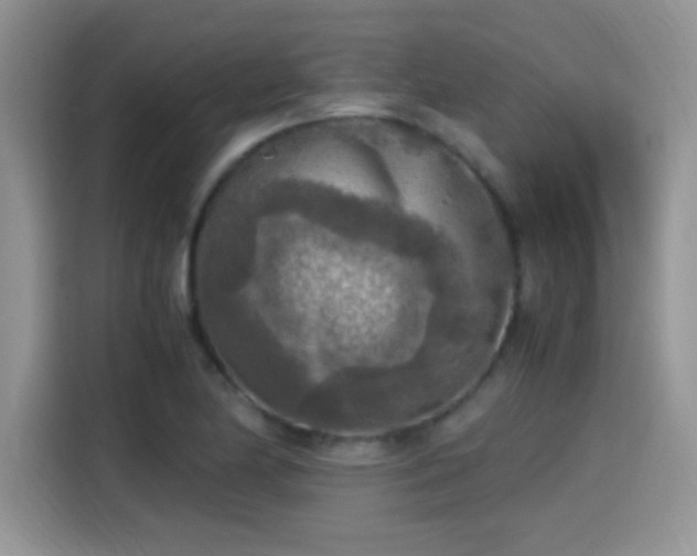 X0000115441174200911121117
