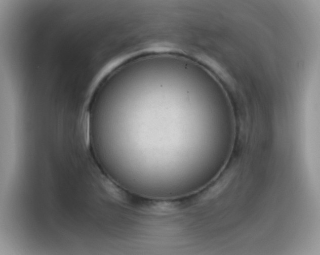 X0000115441175200911121117