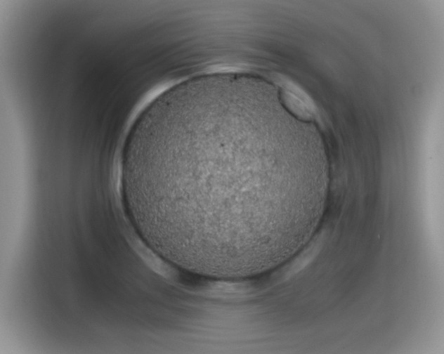 X0000115441179200911121117
