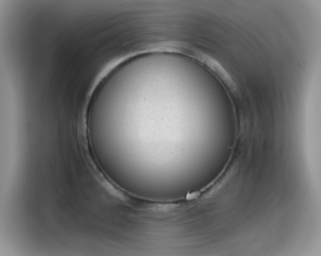 X0000115441184200911121117