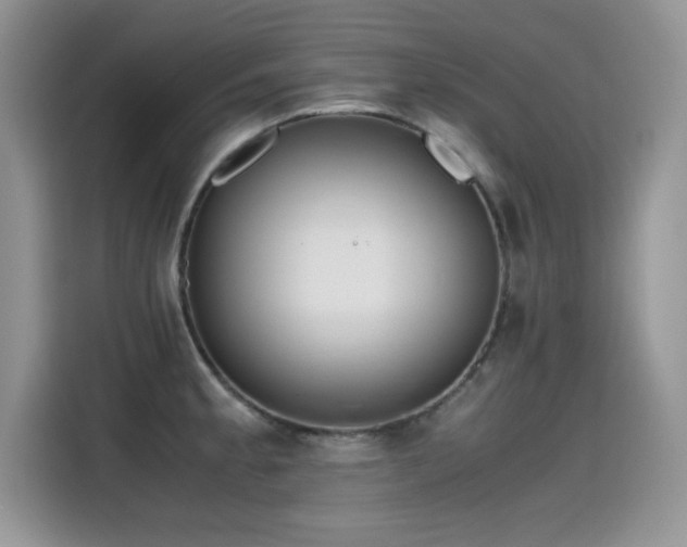 X0000115441189200911121117