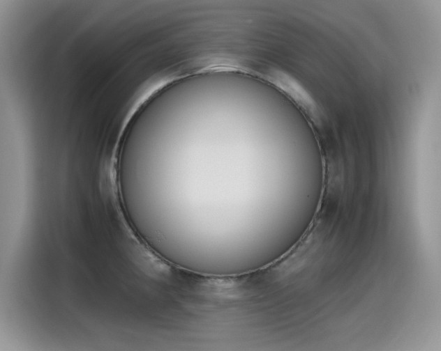 X0000115441190200911121117