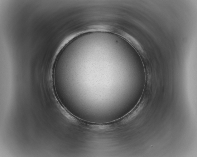 X0000115441192200911121117