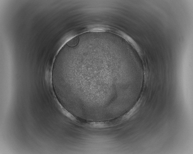 X0000115441194200911121117