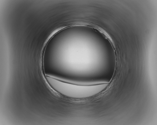 X0000115441195200911121117