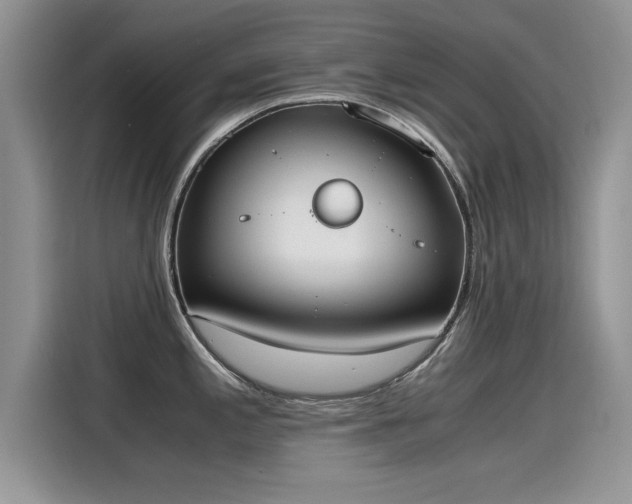 X0000115441197200911121117