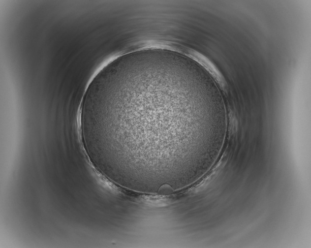 X0000115441198200911121117