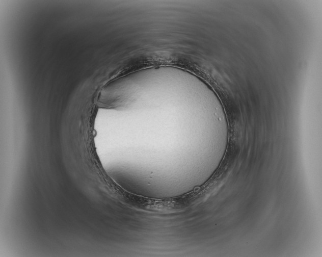 X0000115441201200911121116