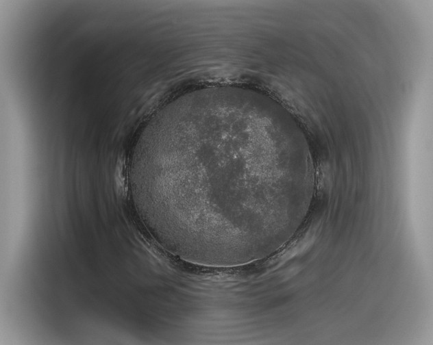 X0000115441202200911121116