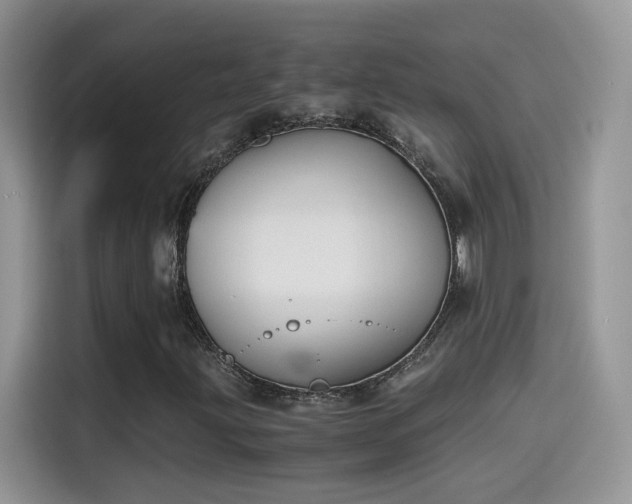 X0000115441203200911121116