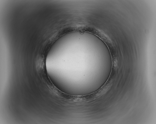 X0000115441204200911121116