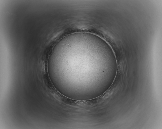 X0000115441205200911121116